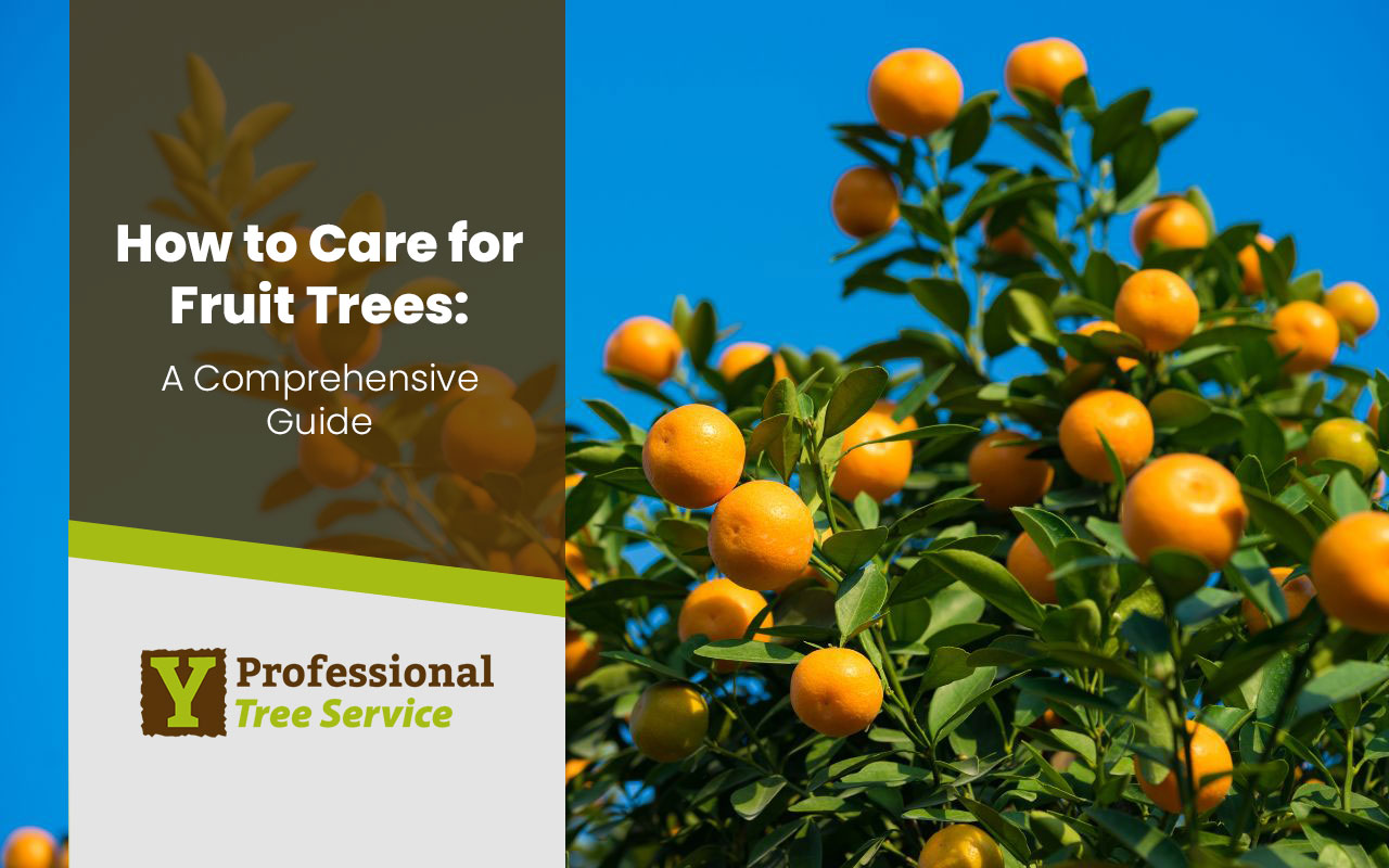 learning about how to care for fruit trees