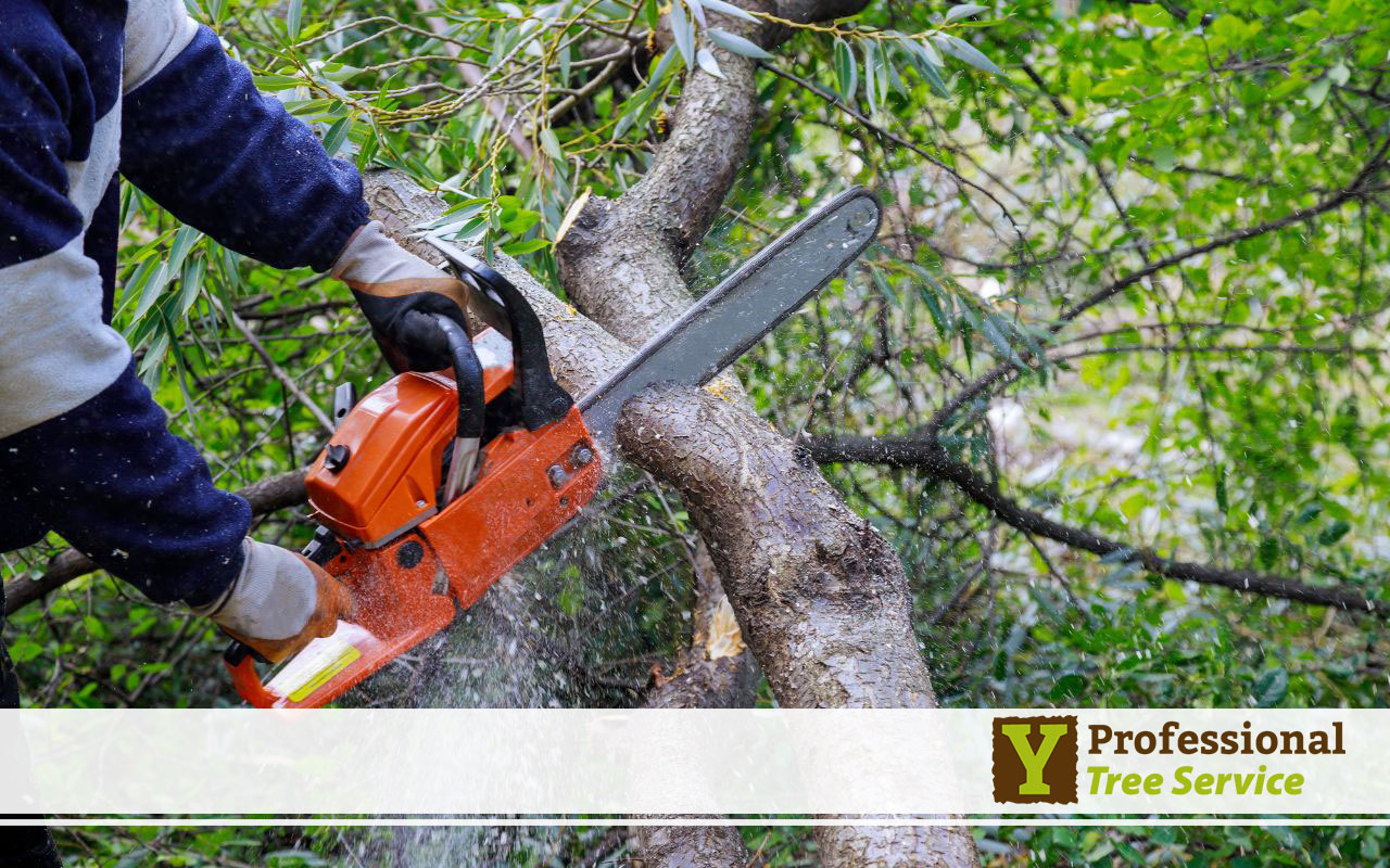 Residential tree topping service in Crossville, AL.