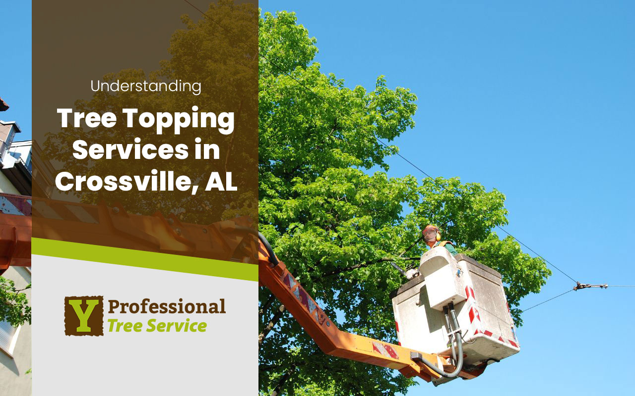 Professional tree topping services in Crossville, AL.