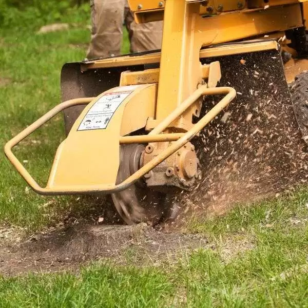 Stump Grinding